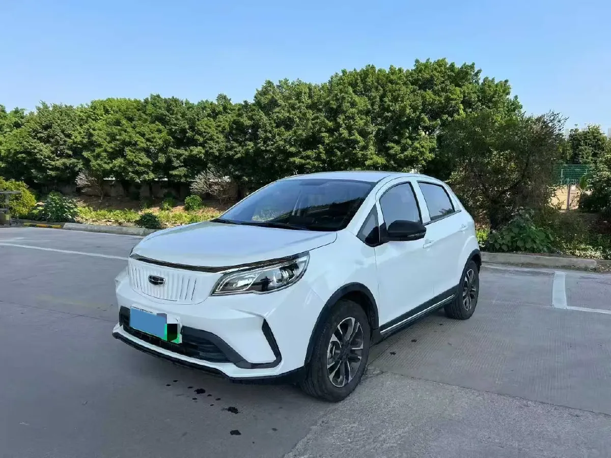 2021 WuLing Nano EV BEV 28KWH,autocango,china used car exporter,china ev exporter,chinese used car exporter,chinese used ev exporter