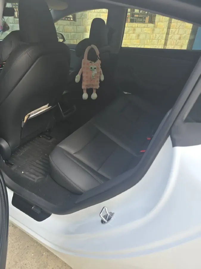 2025 Tesla Model 3 BEV 62.5KWH,autocango,china used car exporter,china ev exporter,chinese used car exporter,chinese used ev exporter