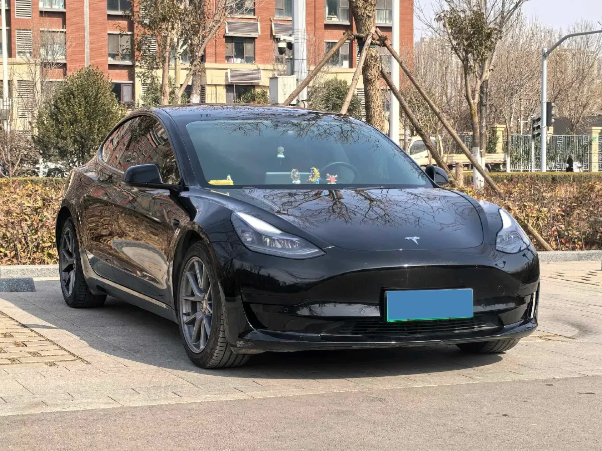 2021 Tesla Model 3 BEV 55KWH,autocango,china used car exporter,china ev exporter,chinese used car exporter,chinese used ev exporter