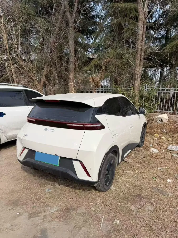 2024 BYD Seagull BEV 30.08KWH,autocango,china used car exporter,china ev exporter,chinese used car exporter,chinese used ev exporter