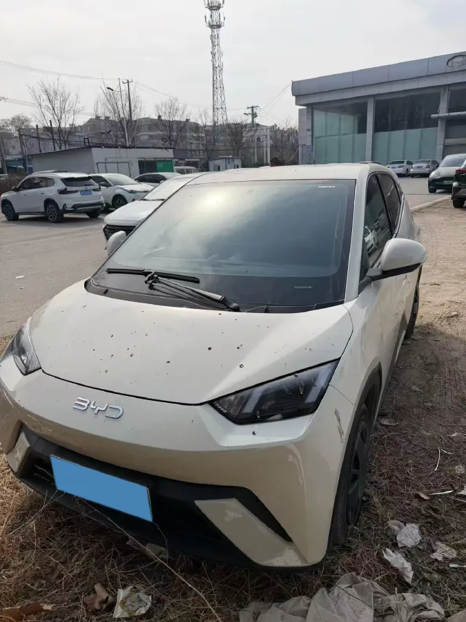 2024 BYD Seagull BEV 30.08KWH,autocango,china used car exporter,china ev exporter,chinese used car exporter,chinese used ev exporter