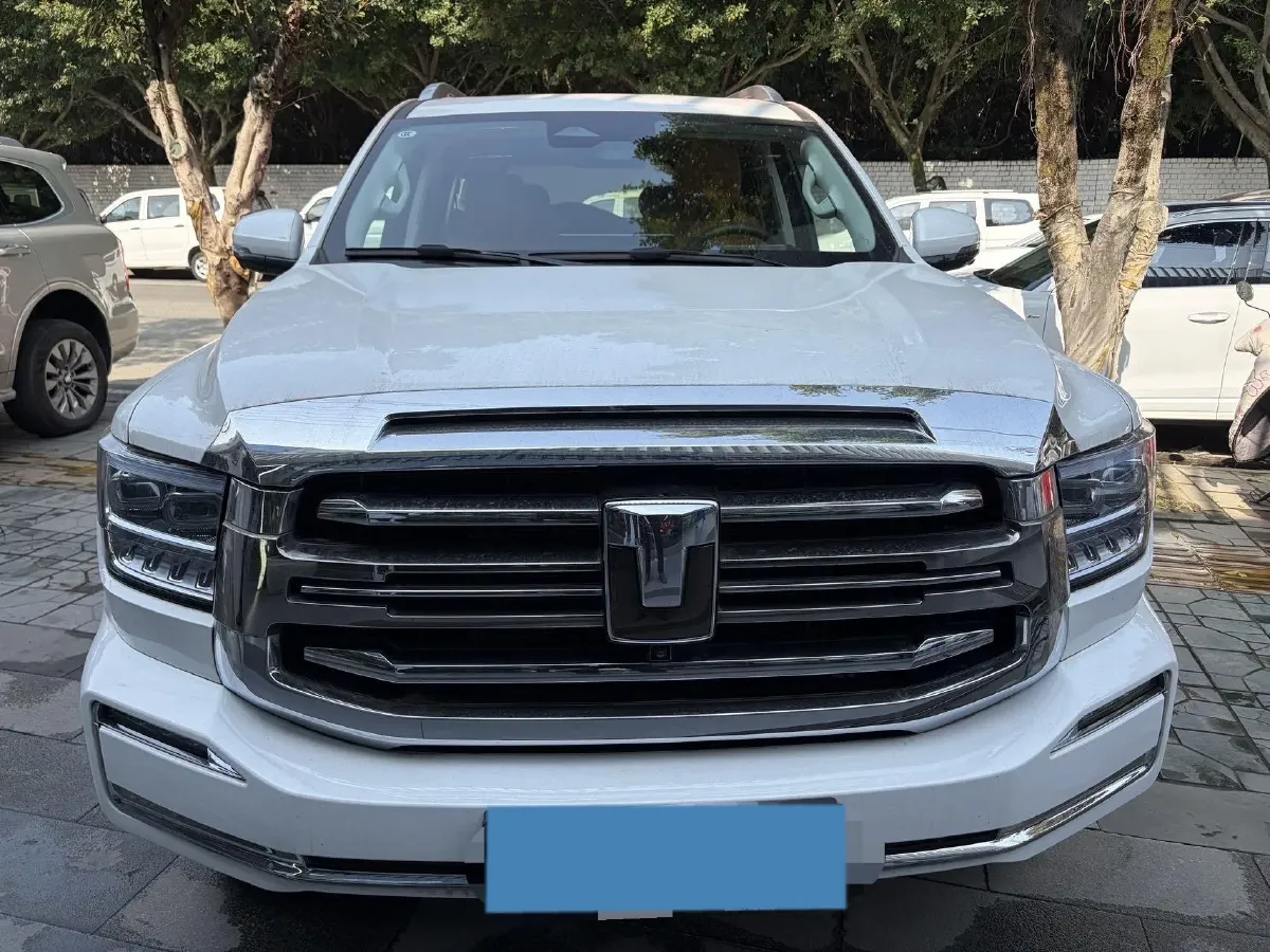 2025 Tank 500 2.0T 252HP L4 3DHT PHEV 59.05KWH,autocango,china used car exporter,china ev exporter,chinese used car exporter,chinese used ev exporter