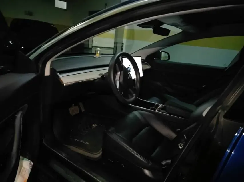 2020 Tesla Model 3 BEV 55KWH,autocango,china used car exporter,china ev exporter,chinese used car exporter,chinese used ev exporter