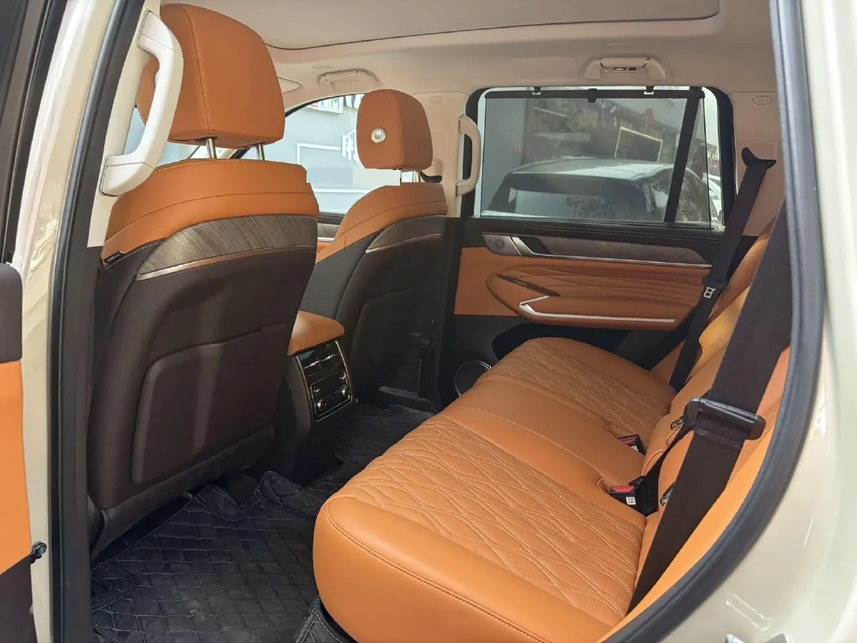 2025 Tank 500 2.0T 252HP L4 3DHT PHEV 59.05KWH,autocango,china used car exporter,china ev exporter,chinese used car exporter,chinese used ev exporter