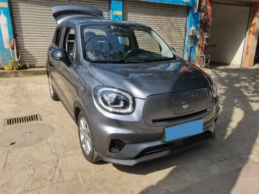 2022 Sehol HuaXianZi BEV 31.4KWH,autocango,china used car exporter,china ev exporter,chinese used car exporter,chinese used ev exporter