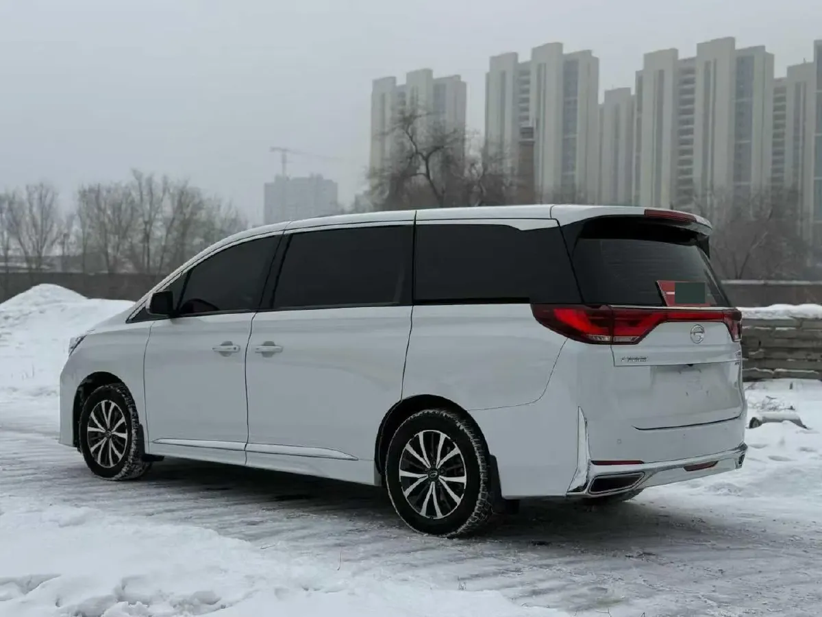 2024 GAC Trumpchi M8 2.0T 252HP L4 8AT,autocango,china used car exporter,china ev exporter,chinese used car exporter,chinese used ev exporter