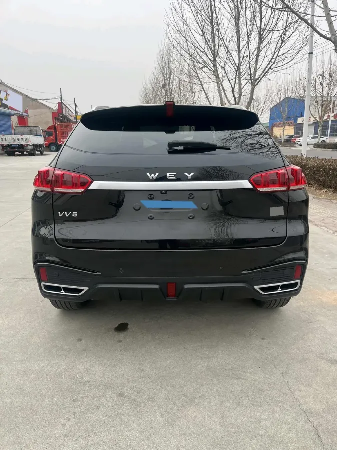 2019 WEY VV5 1.5T 169HP L4 7DCT,autocango,china used car exporter,china ev exporter,chinese used car exporter,chinese used ev exporter