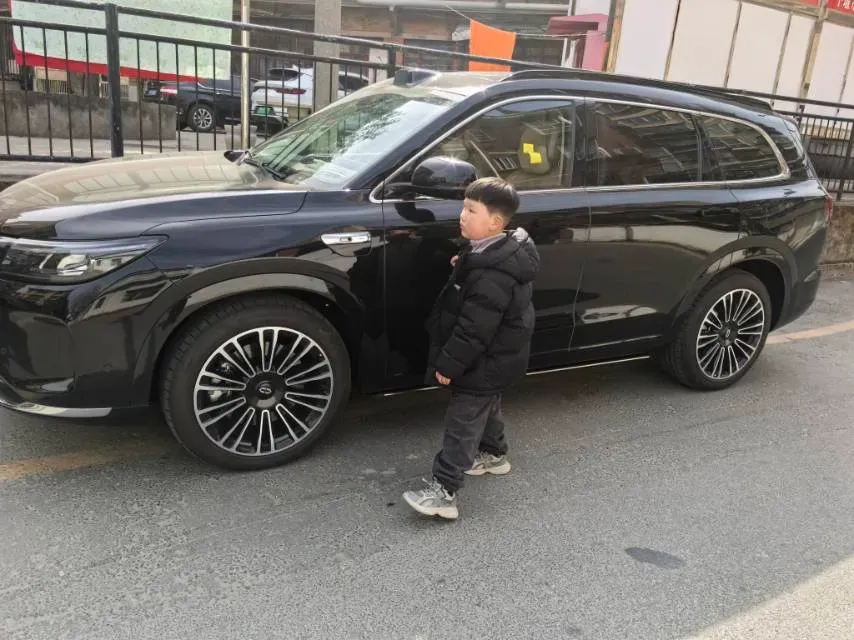 2024 AITO AITO M7 1.5T 152HP L4 REEV 42KWH,autocango,china used car exporter,china ev exporter,chinese used car exporter,chinese used ev exporter