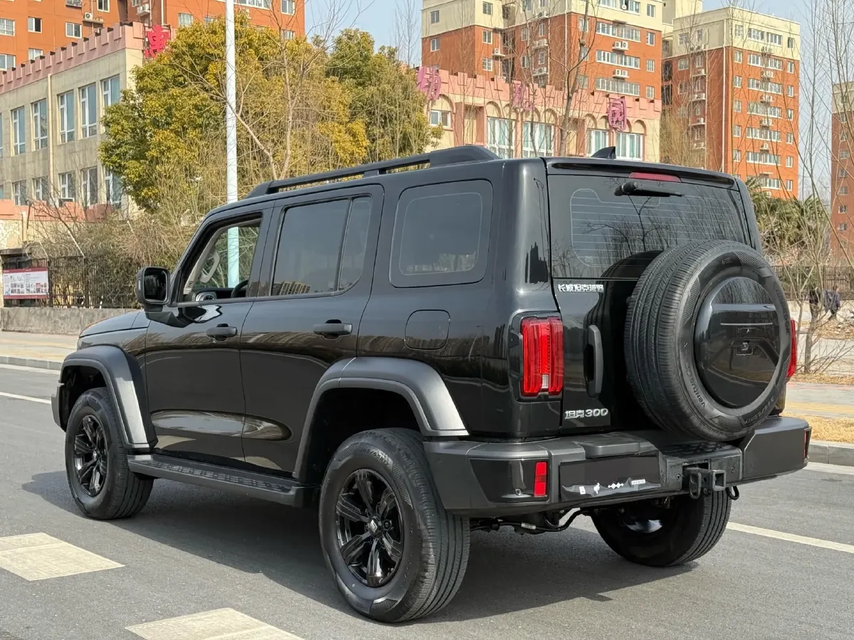 2024 Tank 300 2.0T 227HP L4 8AT,autocango,china used car exporter,china ev exporter,chinese used car exporter,chinese used ev exporter