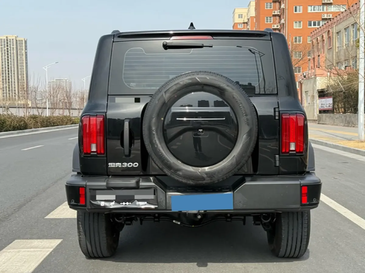 2024 Tank 300 2.0T 227HP L4 8AT,autocango,china used car exporter,china ev exporter,chinese used car exporter,chinese used ev exporter