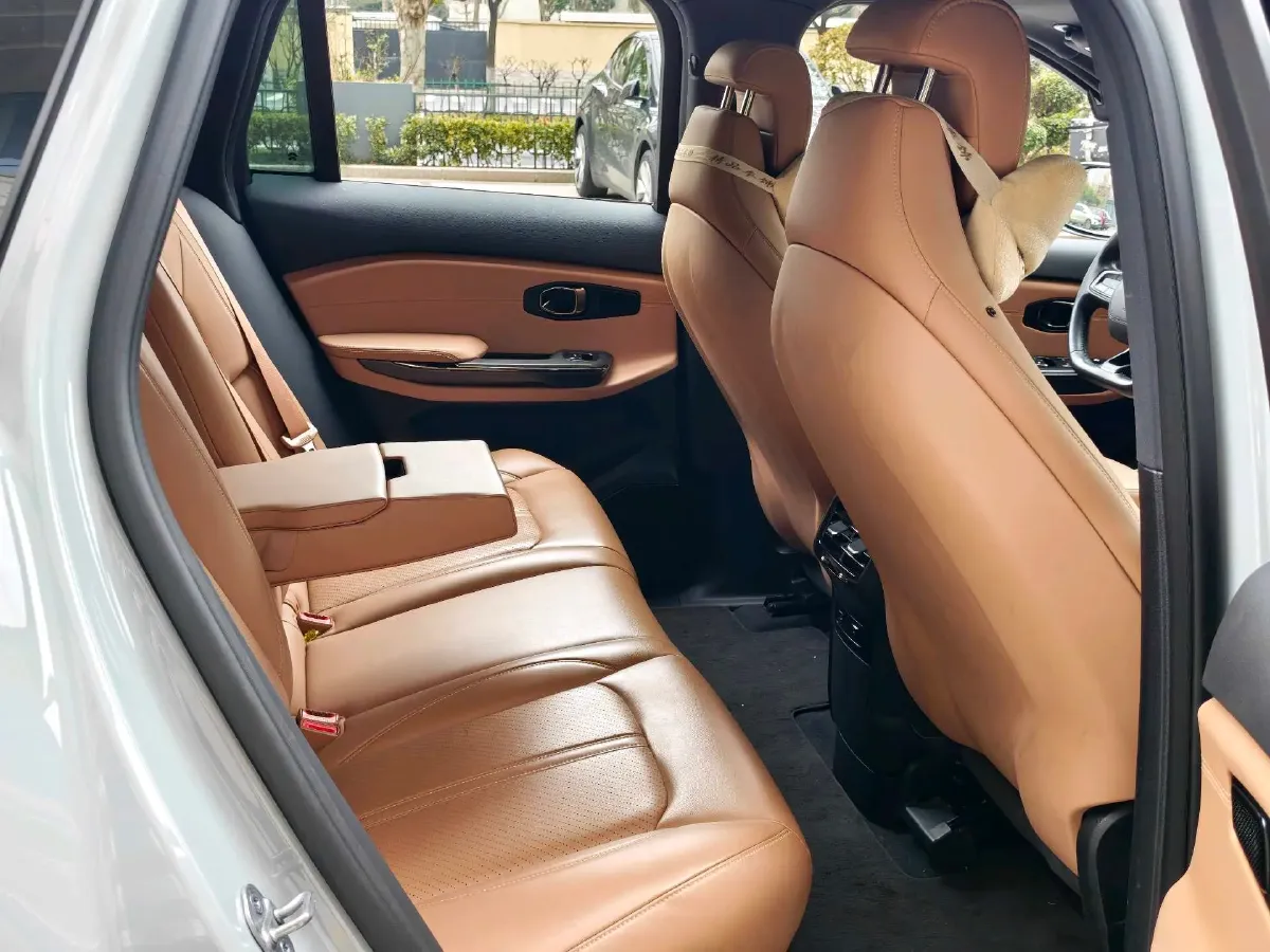 2020 Lexus NX 2.5L 155HP L4 E-CVT Hybrid,autocango,china used car exporter,china ev exporter,chinese used car exporter,chinese used ev exporter