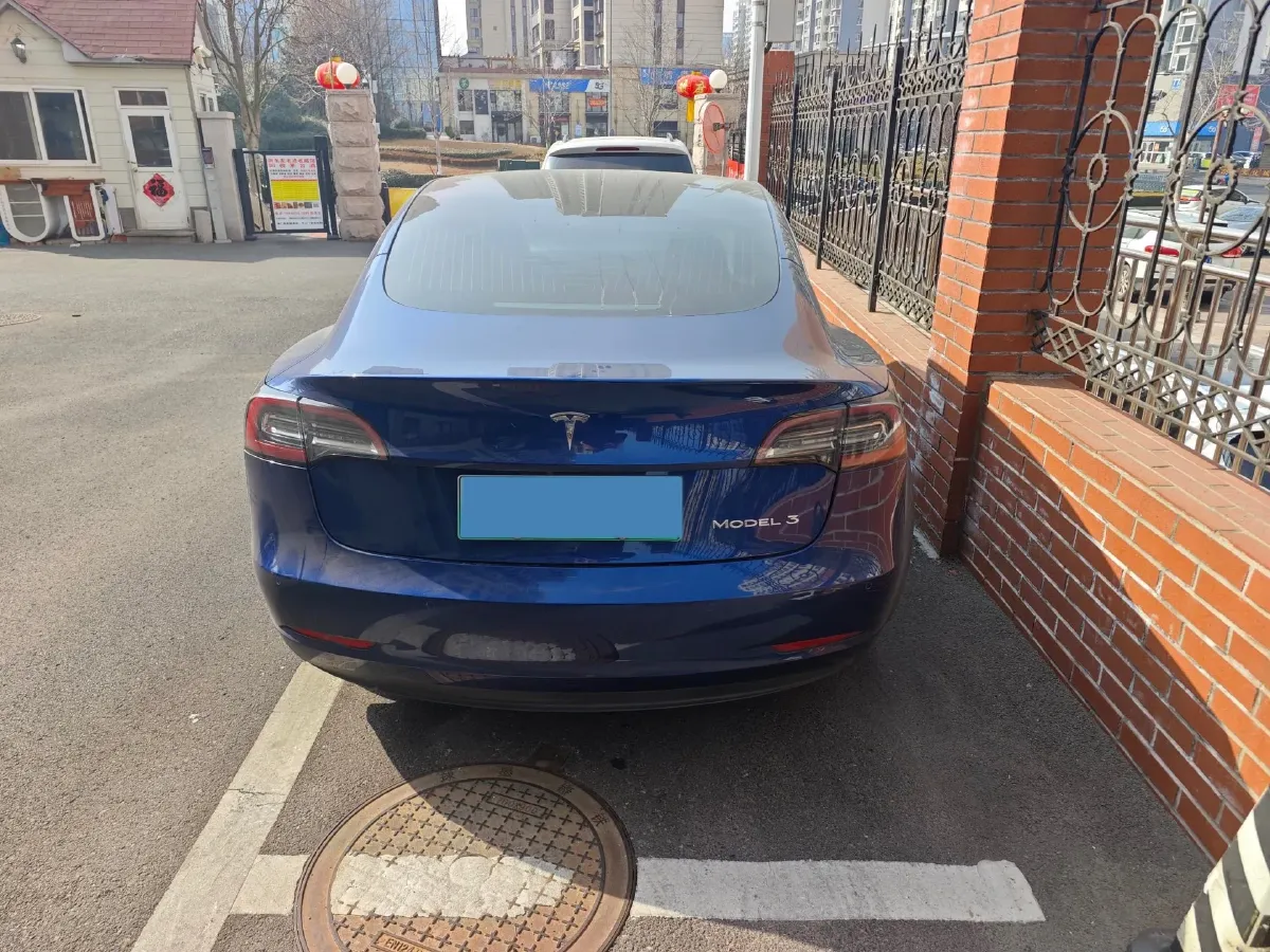2020 Tesla Model 3 BEV 55KWH,autocango,china used car exporter,china ev exporter,chinese used car exporter,chinese used ev exporter