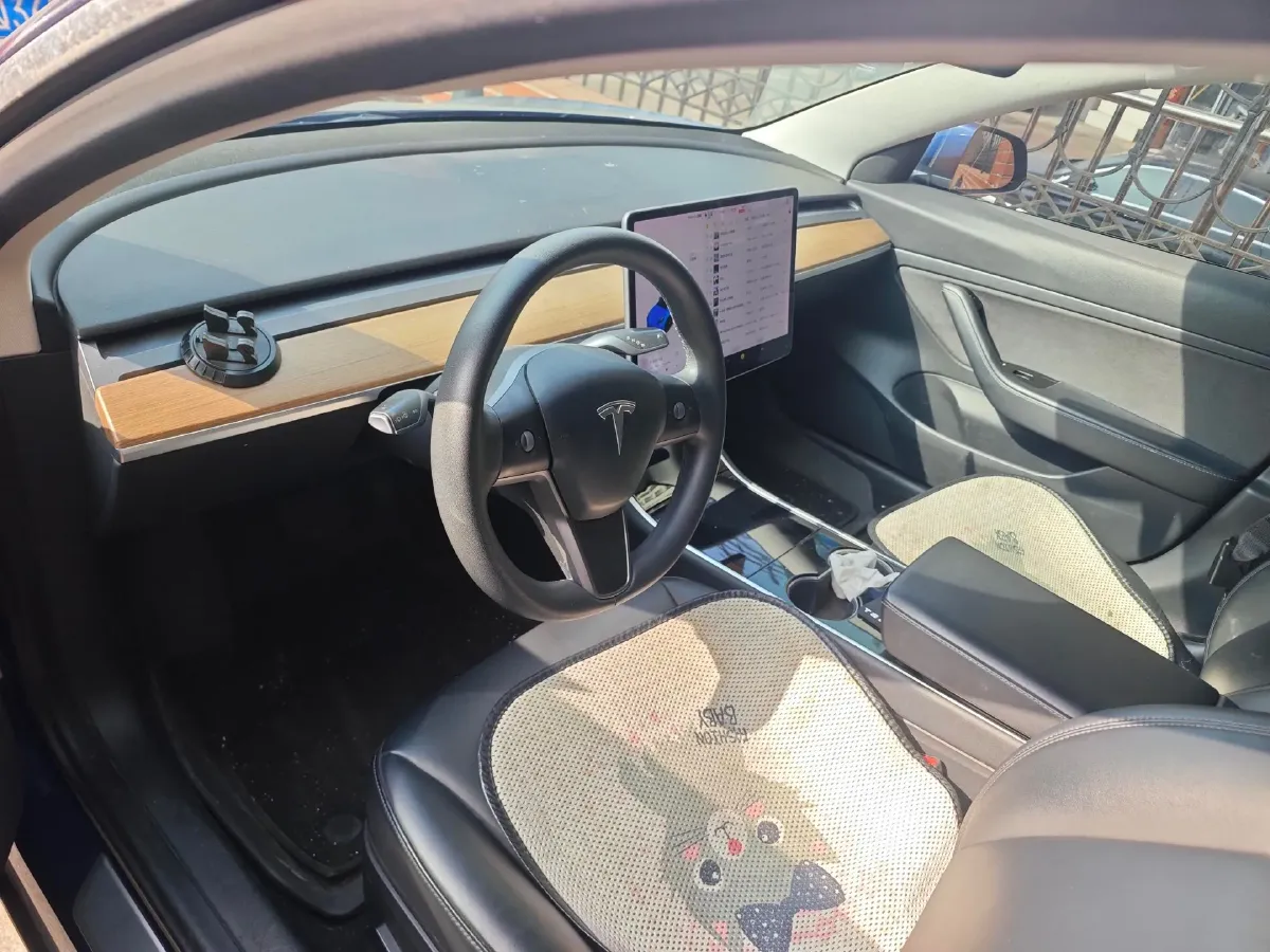 2020 Tesla Model 3 BEV 55KWH,autocango,china used car exporter,china ev exporter,chinese used car exporter,chinese used ev exporter