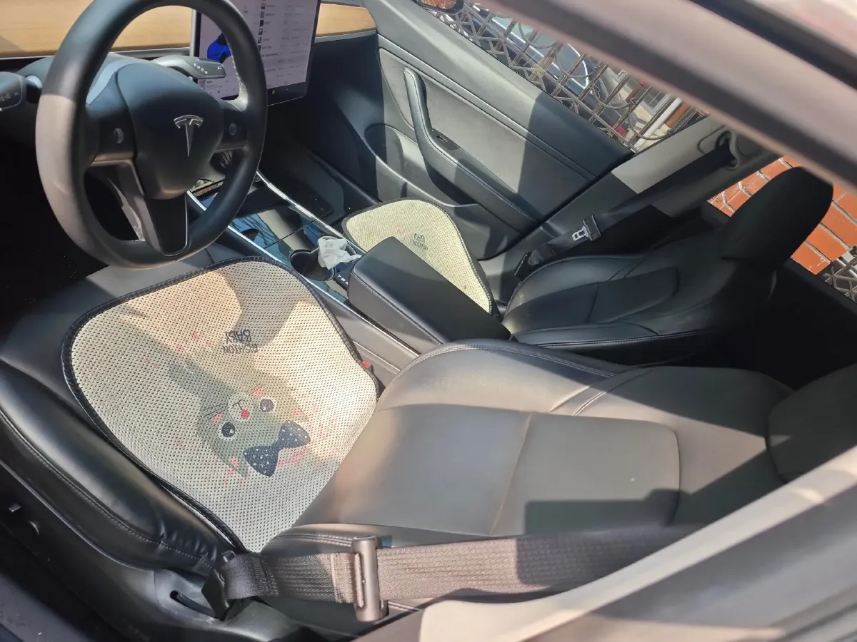 2020 Tesla Model 3 BEV 55KWH,autocango,china used car exporter,china ev exporter,chinese used car exporter,chinese used ev exporter