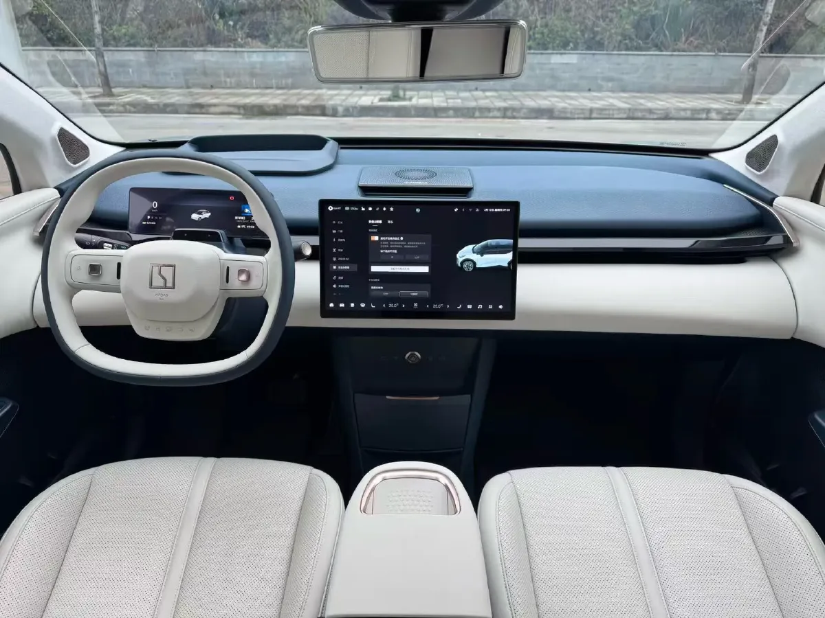 2023 Zeekr X BEV 66KWH,autocango,china used car exporter,china ev exporter,chinese used car exporter,chinese used ev exporter