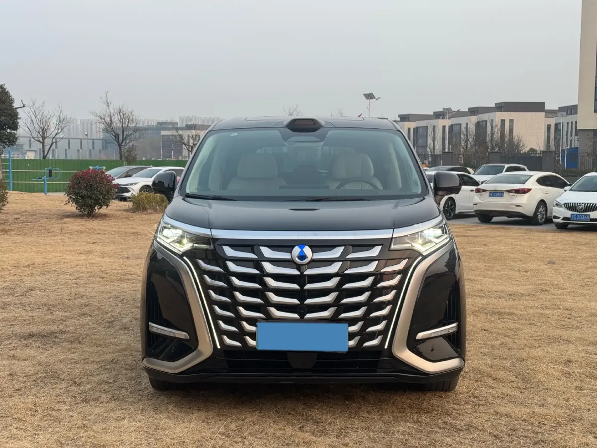 2025 Denza D9 1.5T 156HP L4 E-CVT PHEV 40KWH,autocango,china used car exporter,china ev exporter,chinese used car exporter,chinese used ev exporter