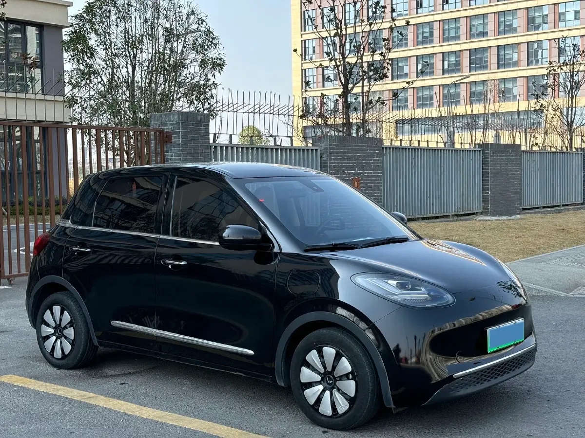 2023 WuLing BinGuo BEV 31.9KWH,autocango,china used car exporter,china ev exporter,chinese used car exporter,chinese used ev exporter