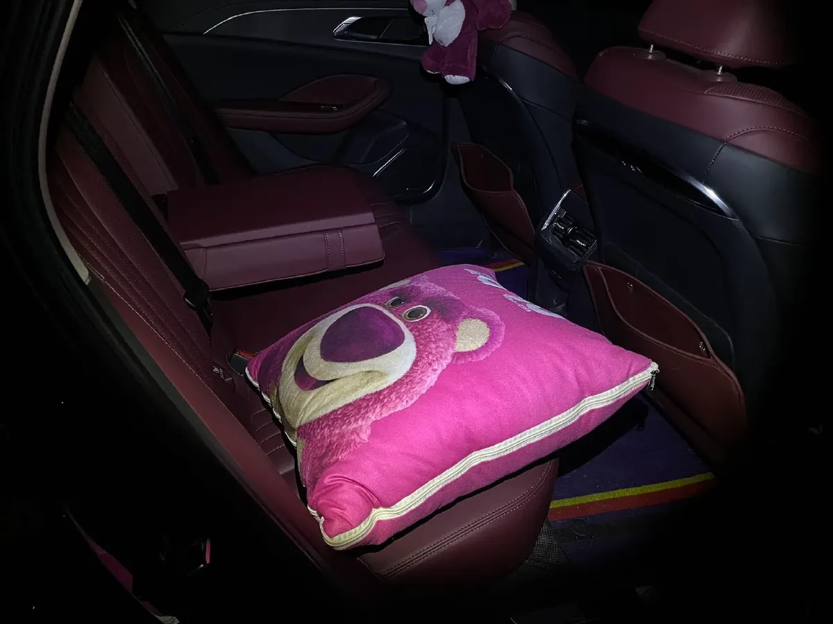 2023 HongQi H5 2.0T 224HP L4 8AT,autocango,china used car exporter,china ev exporter,chinese used car exporter,chinese used ev exporter