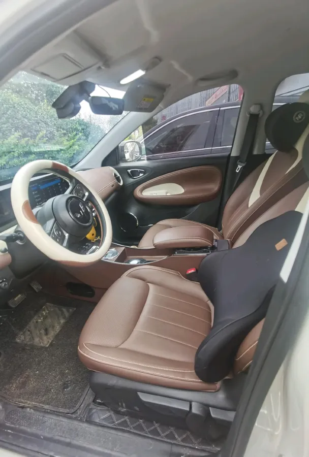 2023 WuLing BinGuo BEV 31.9KWH,autocango,china used car exporter,china ev exporter,chinese used car exporter,chinese used ev exporter