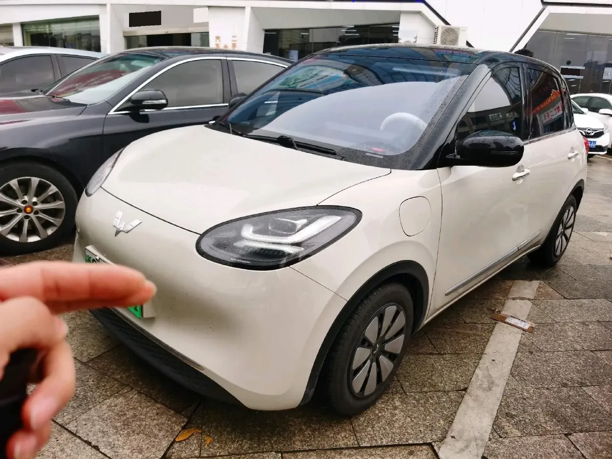 2023 WuLing BinGuo BEV 31.9KWH,autocango,china used car exporter,china ev exporter,chinese used car exporter,chinese used ev exporter