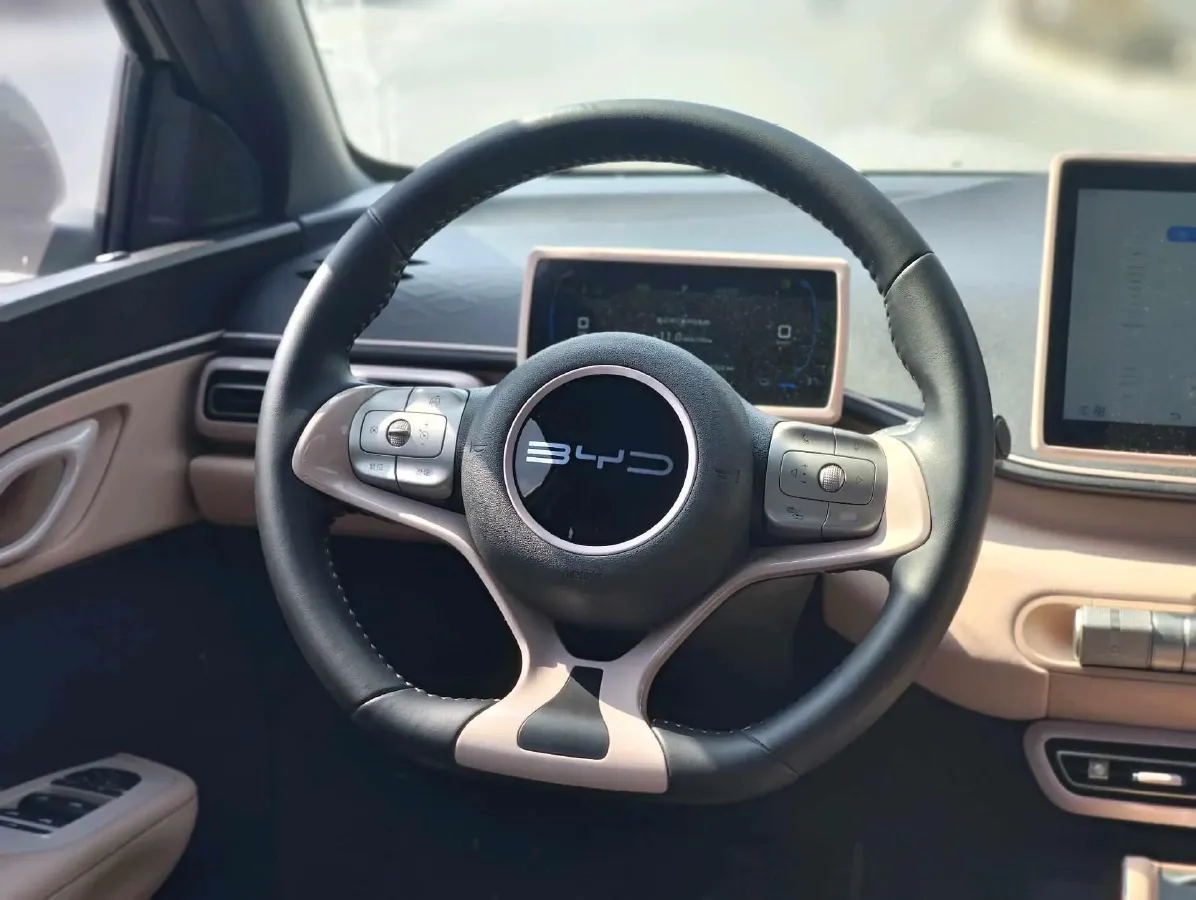 2023 BYD Seagull BEV 38.88KWH,autocango,china used car exporter,china ev exporter,chinese used car exporter,chinese used ev exporter