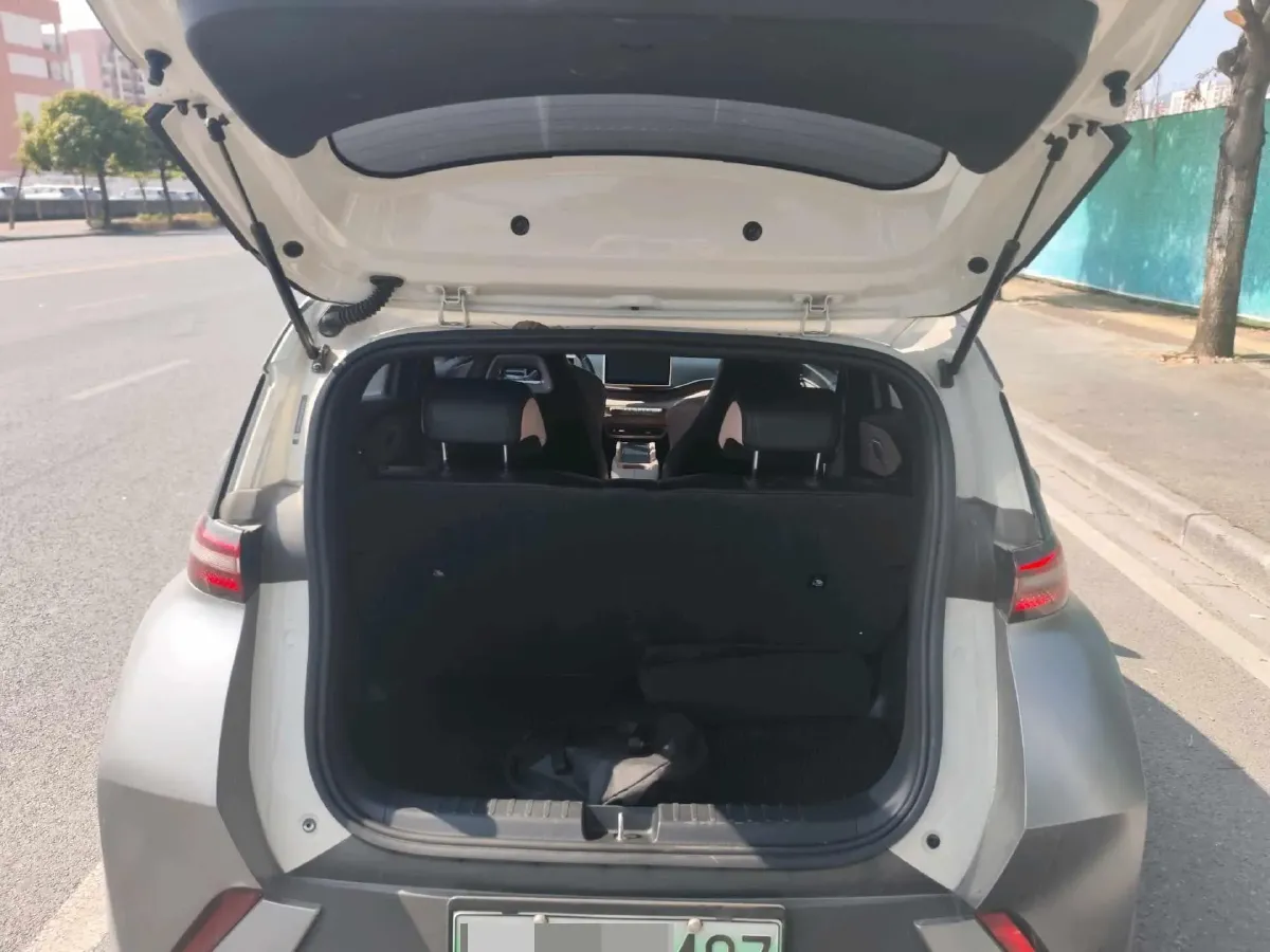 2023 BYD Seagull BEV 38.88KWH,autocango,china used car exporter,china ev exporter,chinese used car exporter,chinese used ev exporter