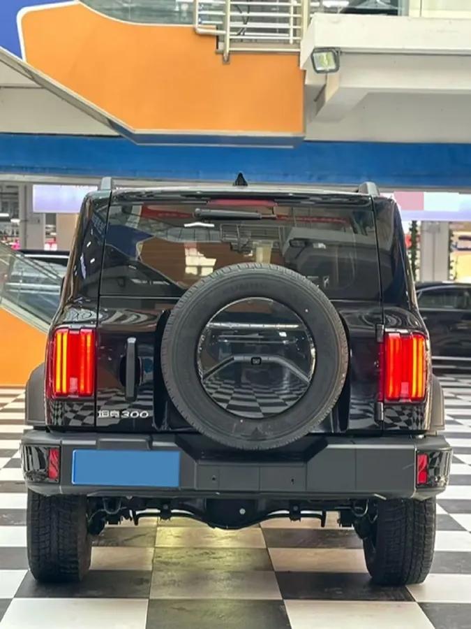 2024 Tank 300 2.0T 227HP L4 8AT,autocango,china used car exporter,china ev exporter,chinese used car exporter,chinese used ev exporter