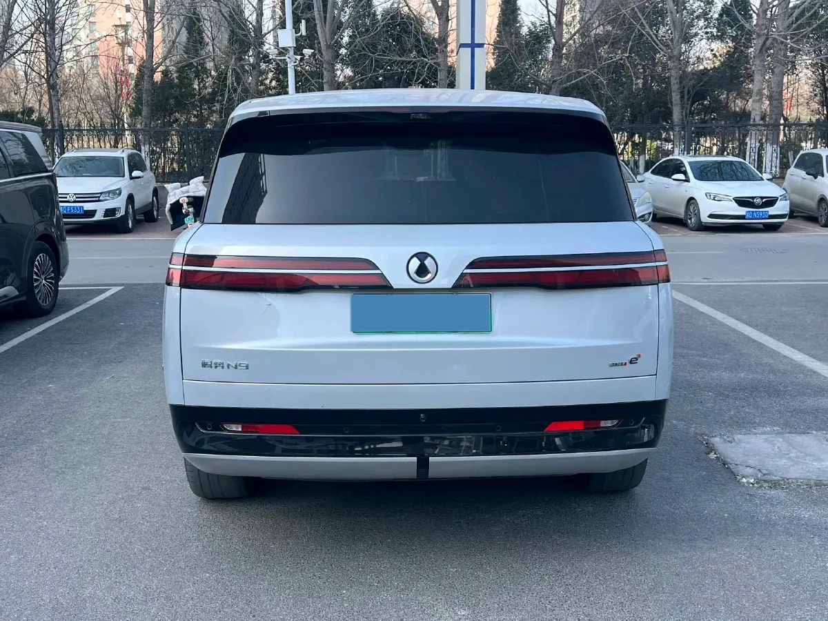 2025 Denza DenzaN9 2.0T 207HP L4 E-CVT PHEV,autocango,china used car exporter,china ev exporter,chinese used car exporter,chinese used ev exporter