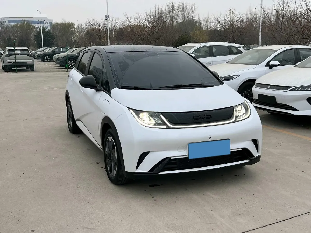 2024 BYD Dolphin BEV 44.928KWH,autocango,china used car exporter,china ev exporter,chinese used car exporter,chinese used ev exporter