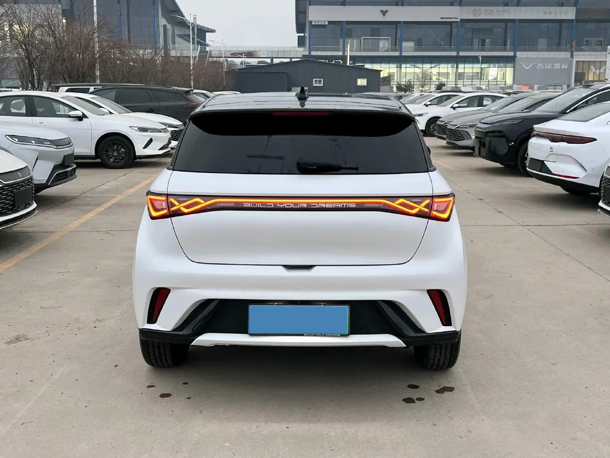 2024 BYD Dolphin BEV 44.928KWH,autocango,china used car exporter,china ev exporter,chinese used car exporter,chinese used ev exporter