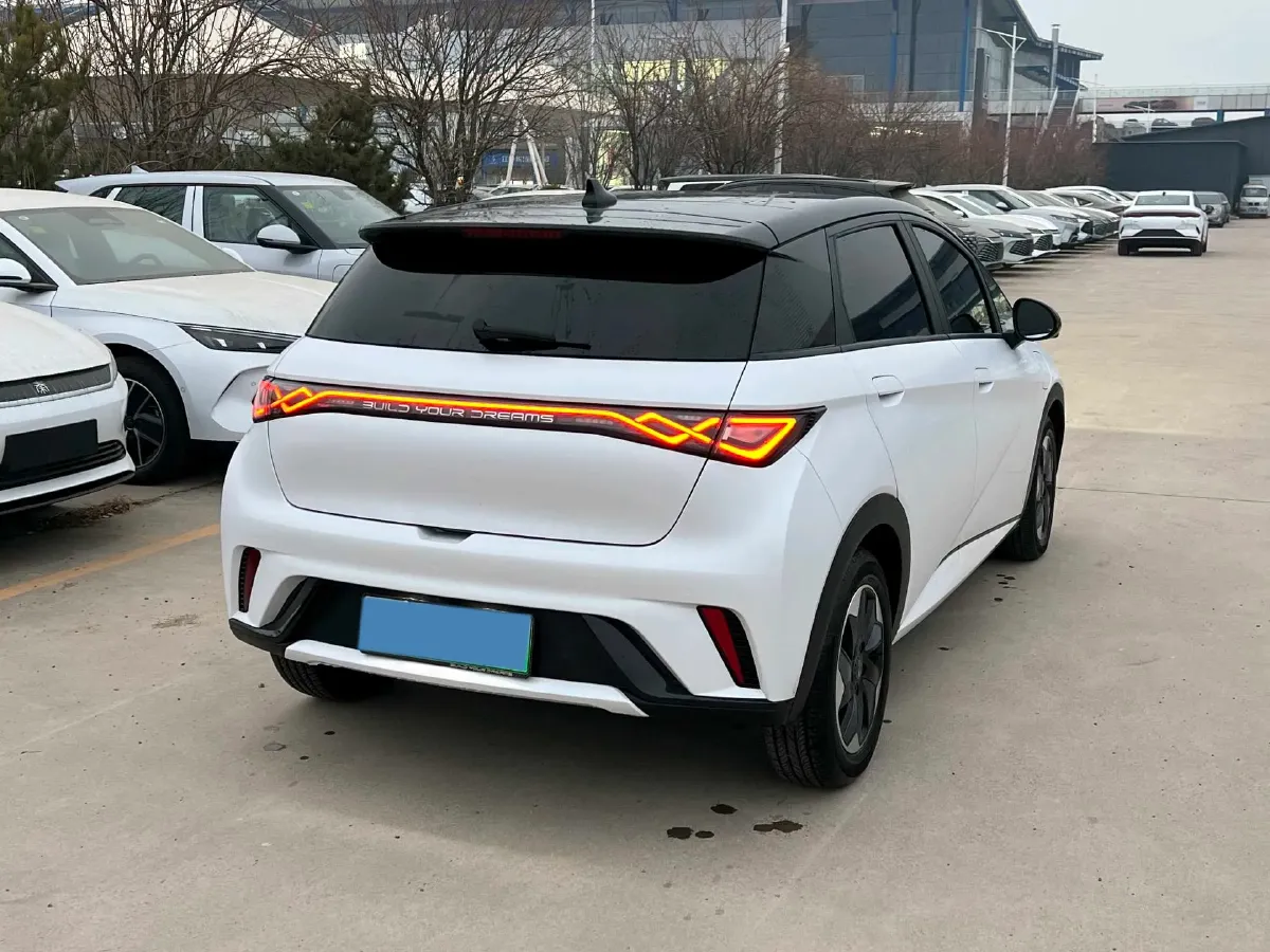 2024 BYD Dolphin BEV 44.928KWH,autocango,china used car exporter,china ev exporter,chinese used car exporter,chinese used ev exporter