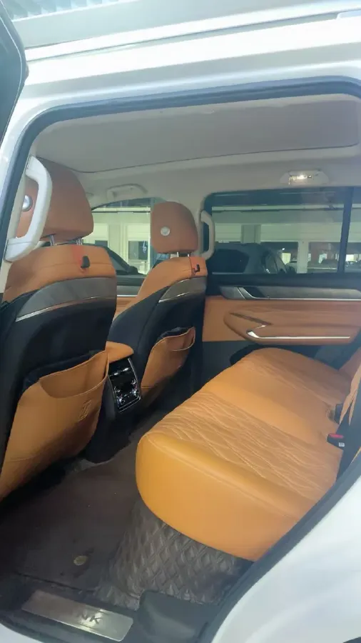 2023 Tank 500 2.0T 252HP L4 9AT PHEV 37.1KWH,autocango,china used car exporter,china ev exporter,chinese used car exporter,chinese used ev exporter