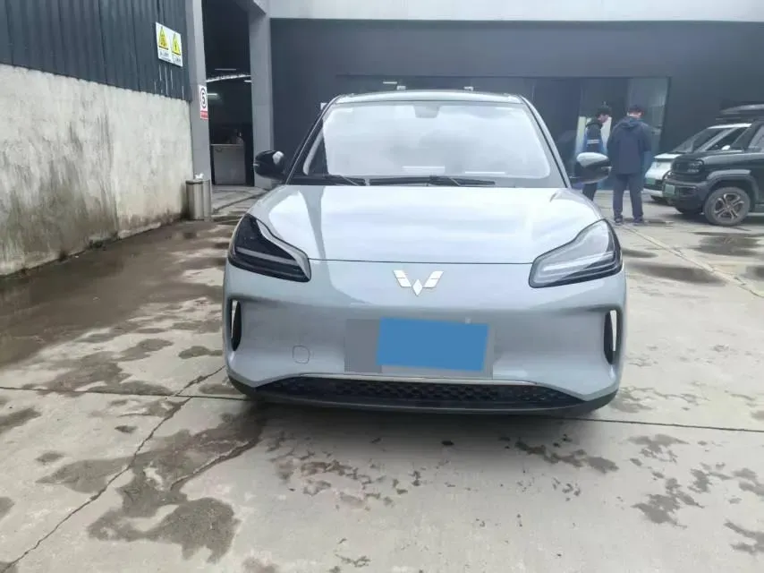 2024 WuLing BinGuoPLUS BEV 50.6KWH,autocango,china used car exporter,china ev exporter,chinese used car exporter,chinese used ev exporter
