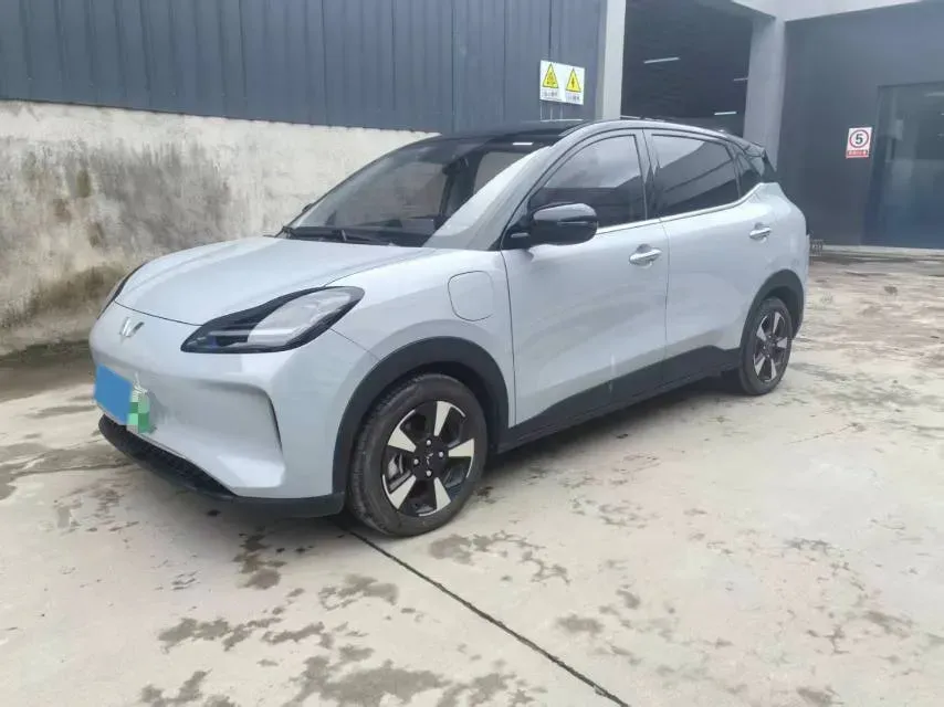 2024 WuLing BinGuoPLUS BEV 50.6KWH,autocango,china used car exporter,china ev exporter,chinese used car exporter,chinese used ev exporter