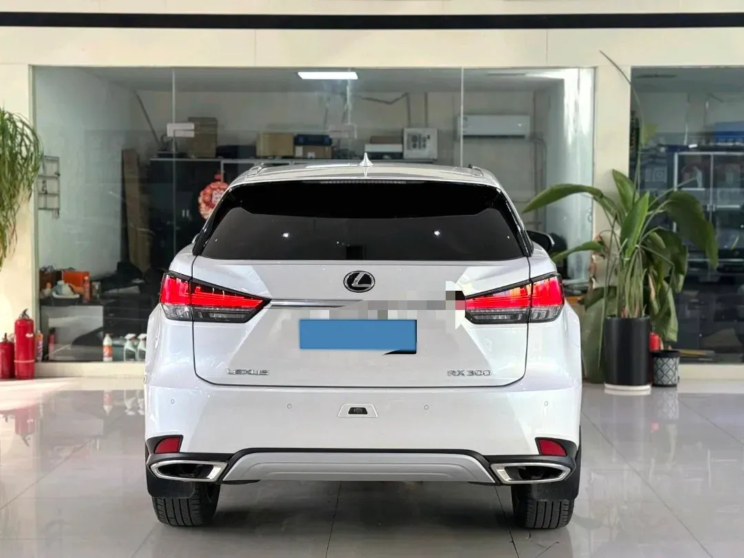 2020 Lexus RX 2.0T 231HP L4 6AT,autocango,china used car exporter,china ev exporter,chinese used car exporter,chinese used ev exporter