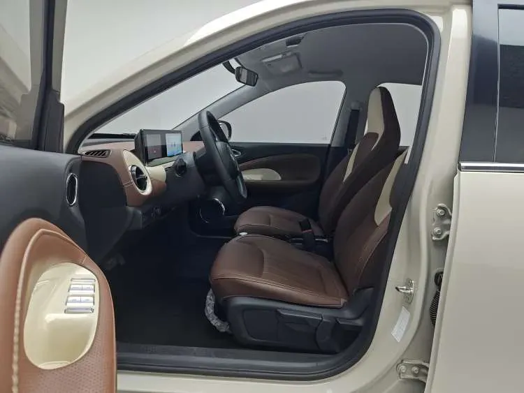 2024 WuLing BinGuo BEV 31.9KWH,autocango,china used car exporter,china ev exporter,chinese used car exporter,chinese used ev exporter