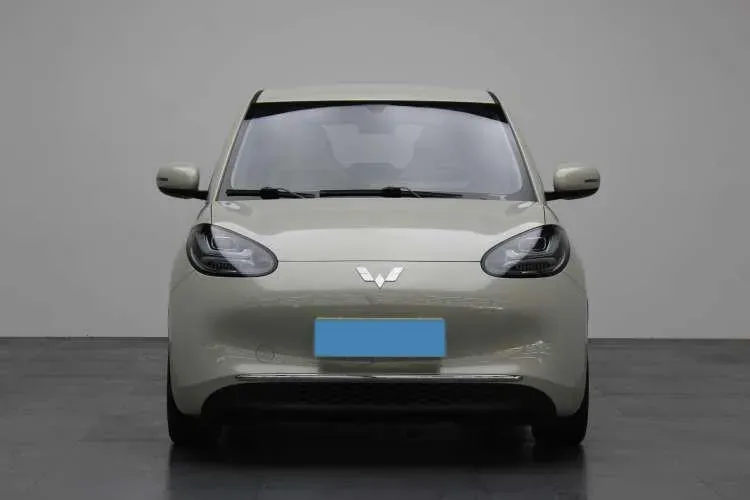 2024 WuLing BinGuo BEV 31.9KWH,autocango,china used car exporter,china ev exporter,chinese used car exporter,chinese used ev exporter