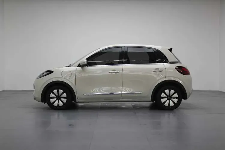 2024 WuLing BinGuo BEV 31.9KWH,autocango,china used car exporter,china ev exporter,chinese used car exporter,chinese used ev exporter