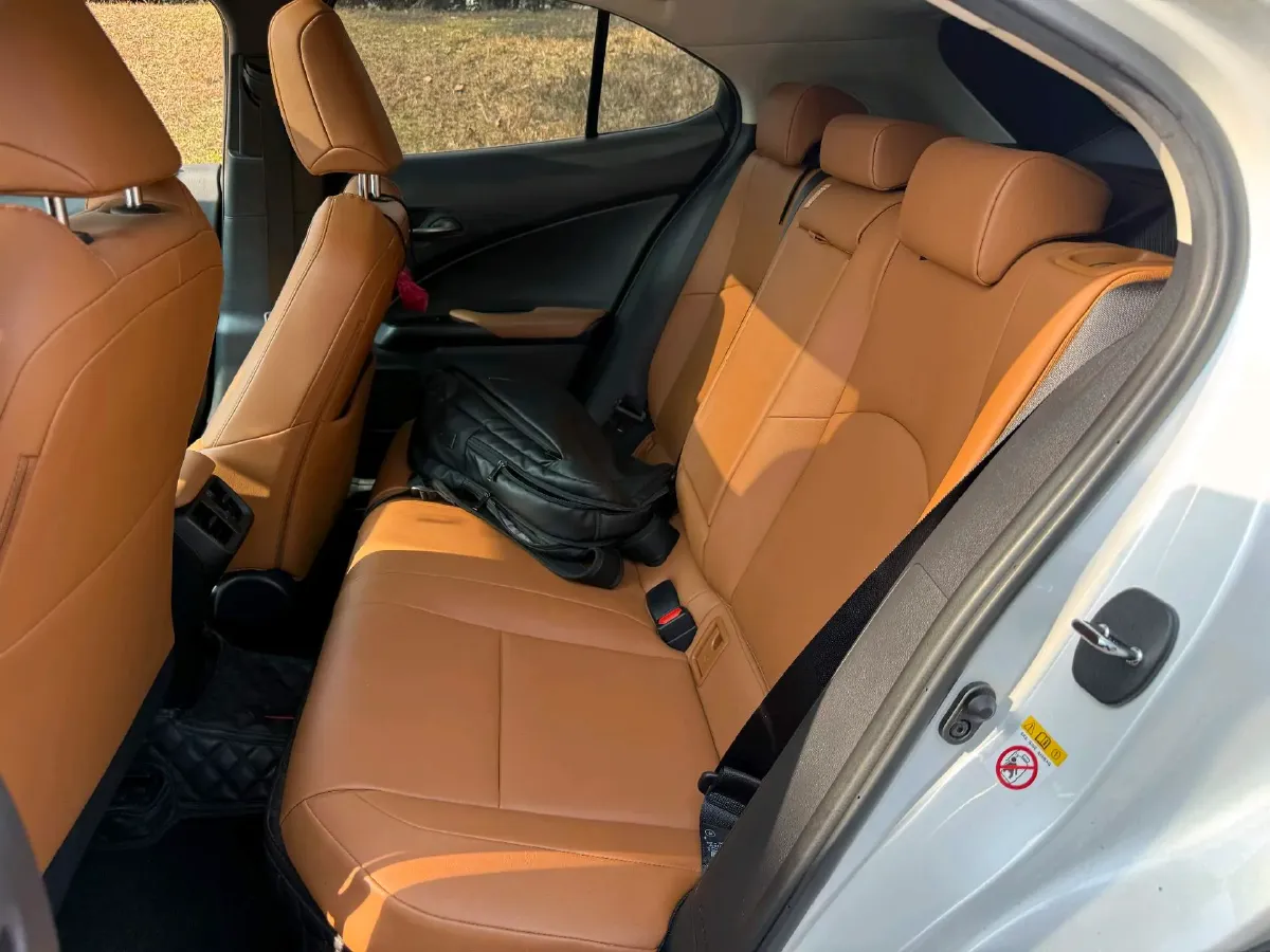 2019 Lexus UX 2.0L 146HP L4 E-CVT Hybrid,autocango,china used car exporter,china ev exporter,chinese used car exporter,chinese used ev exporter