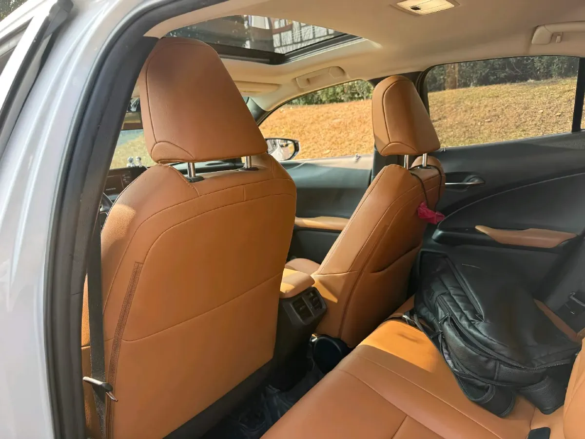 2019 Lexus UX 2.0L 146HP L4 E-CVT Hybrid,autocango,china used car exporter,china ev exporter,chinese used car exporter,chinese used ev exporter