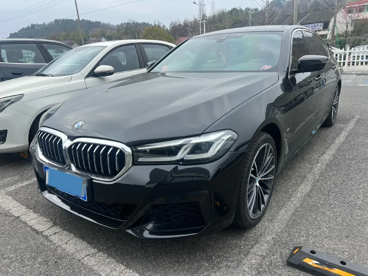 2021 BMW 5 Series 2.0T 252HP L4 8AT,autocango,china used car exporter,china ev exporter,chinese used car exporter,chinese used ev exporter