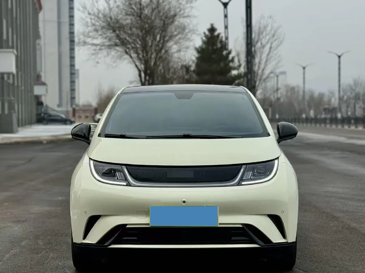 2023 BYD Dolphin BEV 44.928KWH,autocango,china used car exporter,china ev exporter,chinese used car exporter,chinese used ev exporter