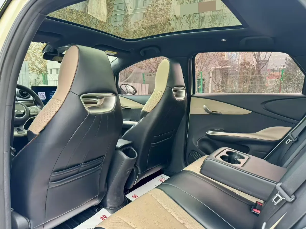 2023 BYD Dolphin BEV 44.928KWH,autocango,china used car exporter,china ev exporter,chinese used car exporter,chinese used ev exporter