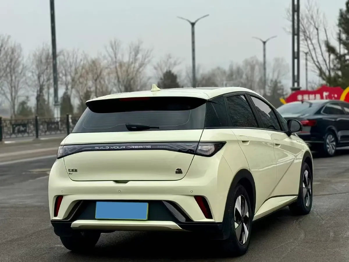 2023 BYD Dolphin BEV 44.928KWH,autocango,china used car exporter,china ev exporter,chinese used car exporter,chinese used ev exporter