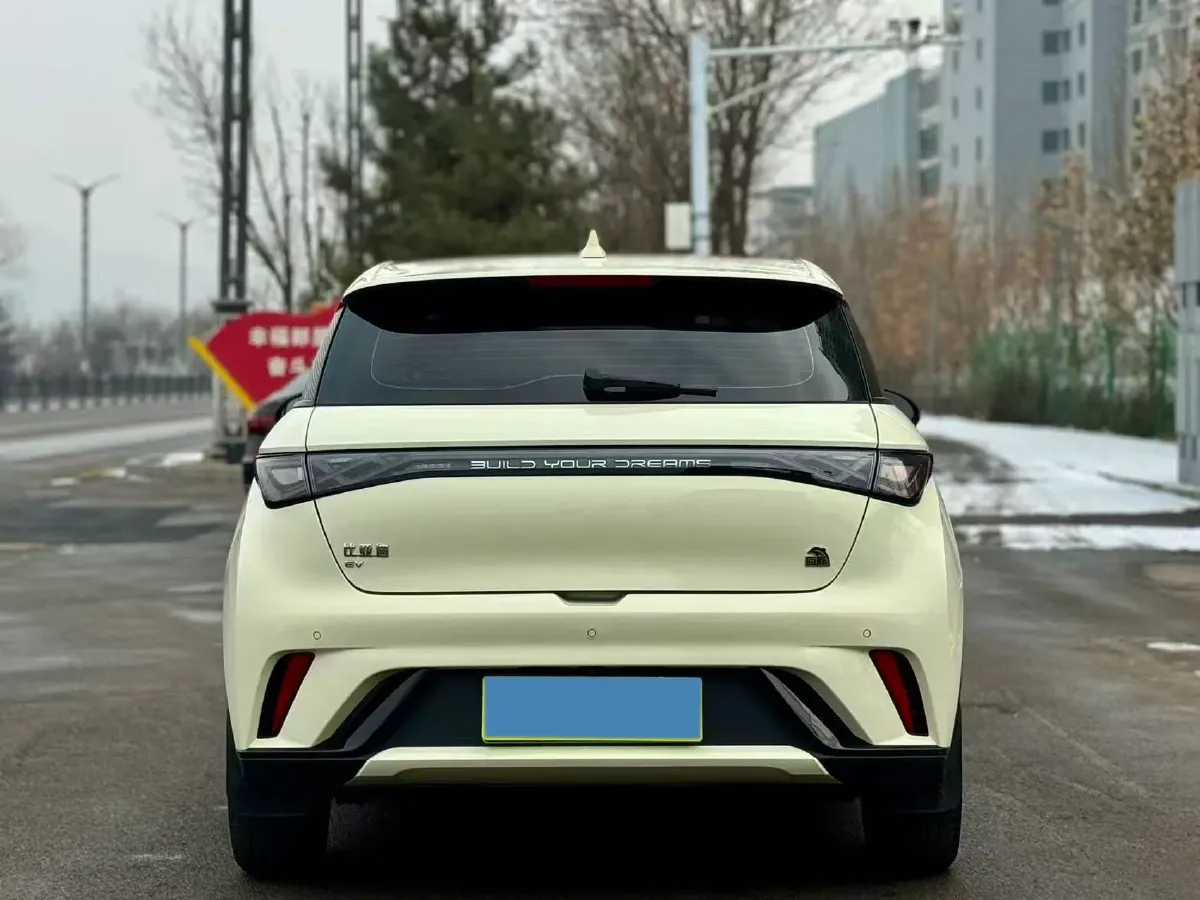 2023 BYD Dolphin BEV 44.928KWH,autocango,china used car exporter,china ev exporter,chinese used car exporter,chinese used ev exporter