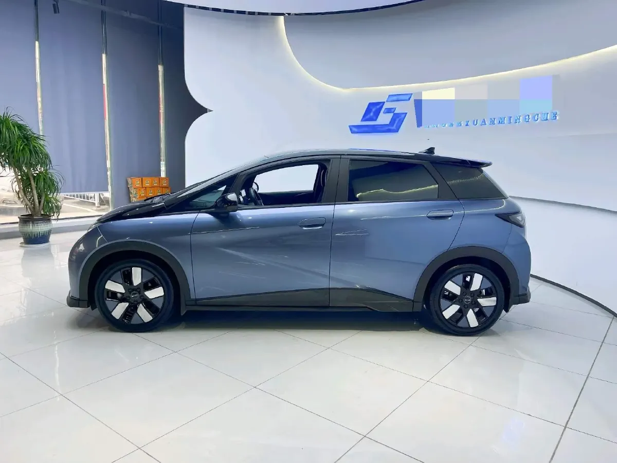 2023 BYD Dolphin BEV 44.928KWH,autocango,china used car exporter,china ev exporter,chinese used car exporter,chinese used ev exporter