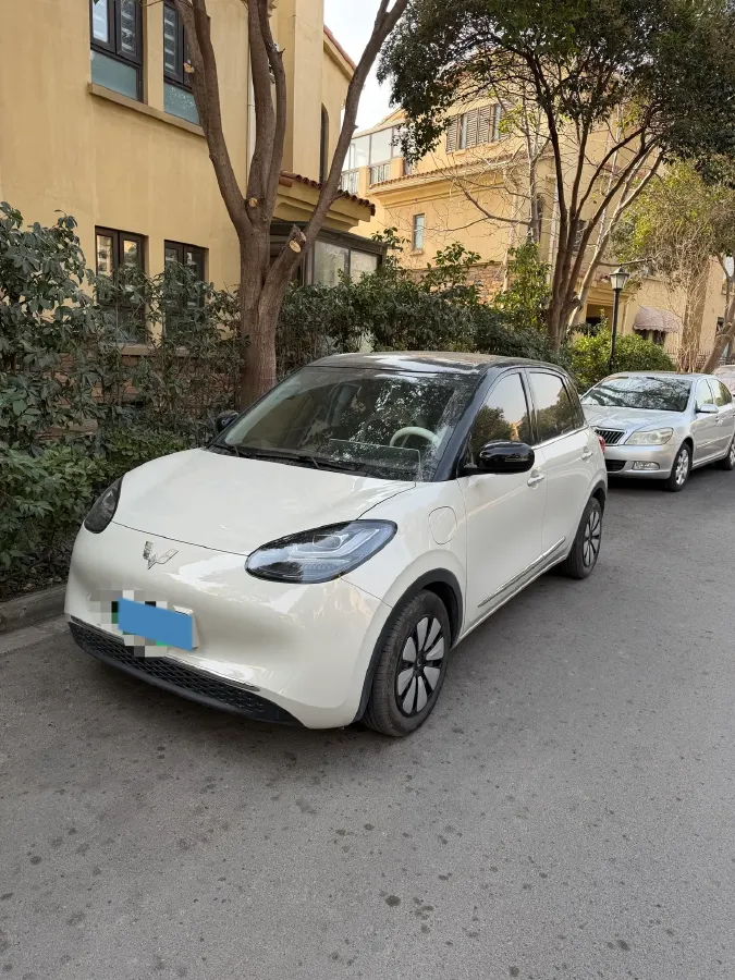 2024 WuLing BinGuo BEV 31.9KWH,autocango,china used car exporter,china ev exporter,chinese used car exporter,chinese used ev exporter