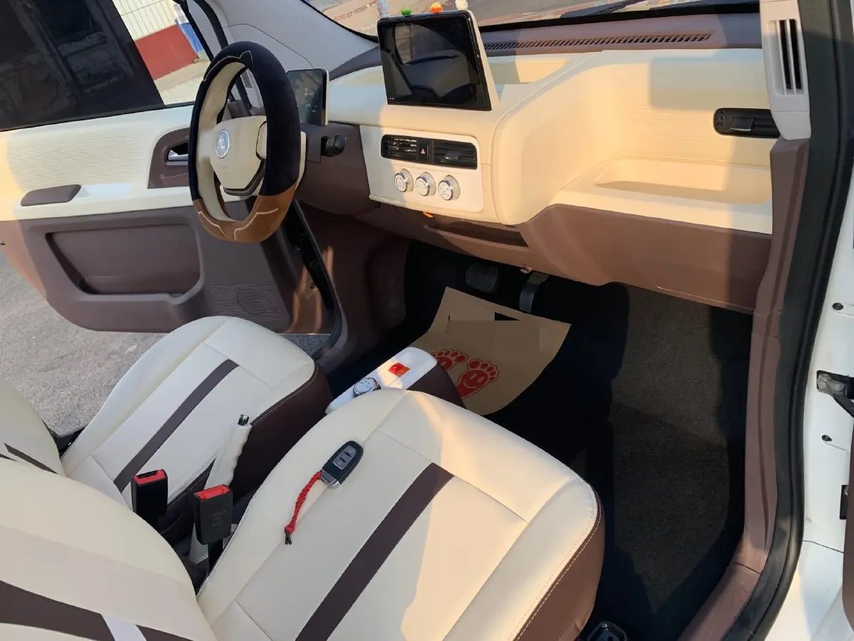 2024 ZD Rainbow BEV 17.18KWH,autocango,china used car exporter,china ev exporter,chinese used car exporter,chinese used ev exporter