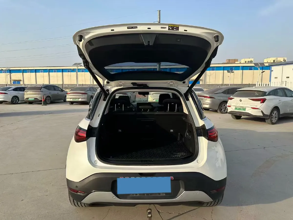 2024 Smart smart Elf 1 BEV 49KWH,autocango,china used car exporter,china ev exporter,chinese used car exporter,chinese used ev exporter