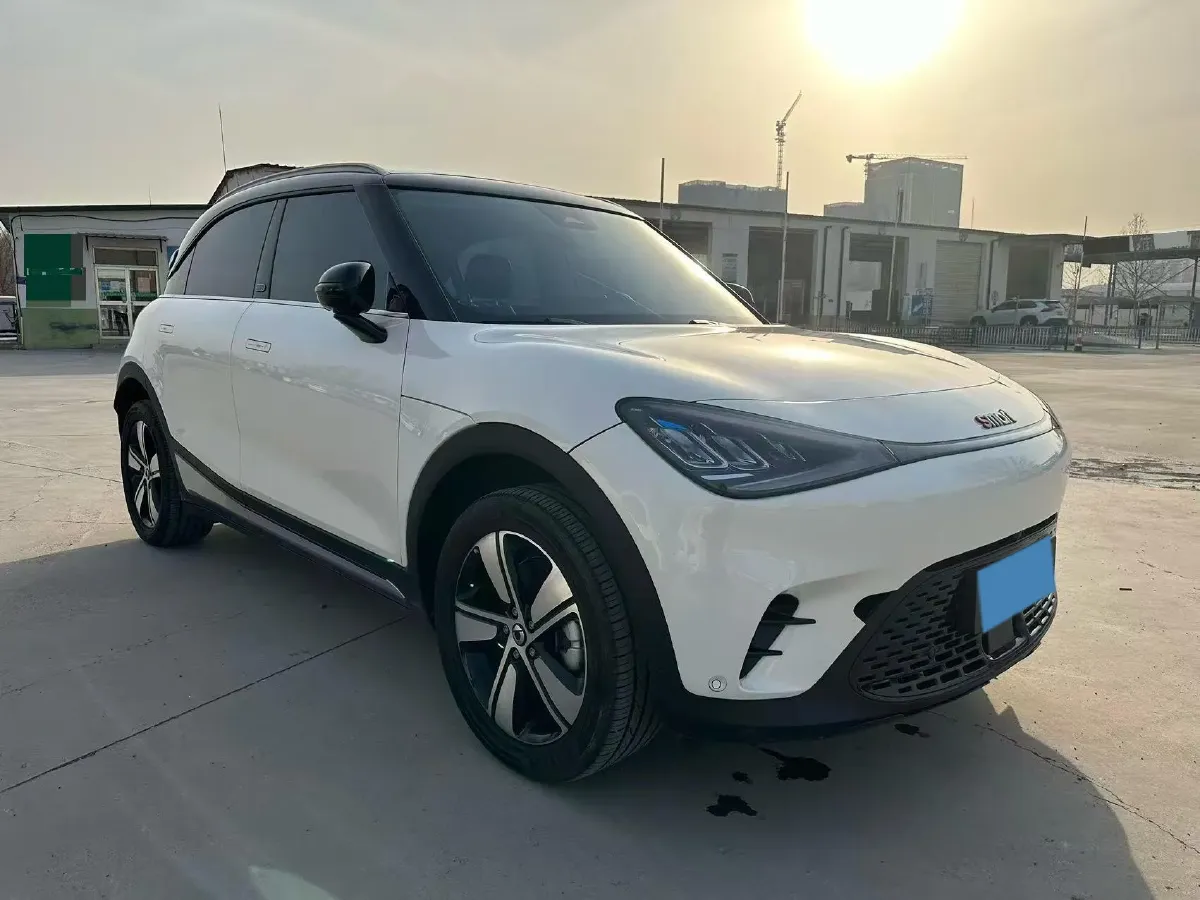 2024 Smart smart Elf 1 BEV 49KWH,autocango,china used car exporter,china ev exporter,chinese used car exporter,chinese used ev exporter
